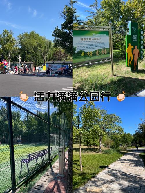 保定低碳公园健身电话是多少？-第1张图片-德高鼎泰便民中心