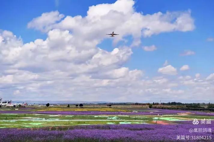 酒泉苹果概念酒店预订有何特色？-第3张图片-德高鼎泰便民中心
