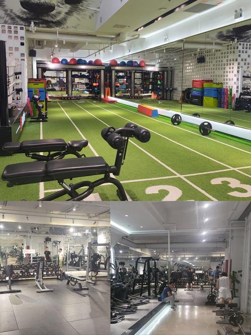 句容常青树健身俱乐部怎么样？-第3张图片-德高鼎泰便民中心