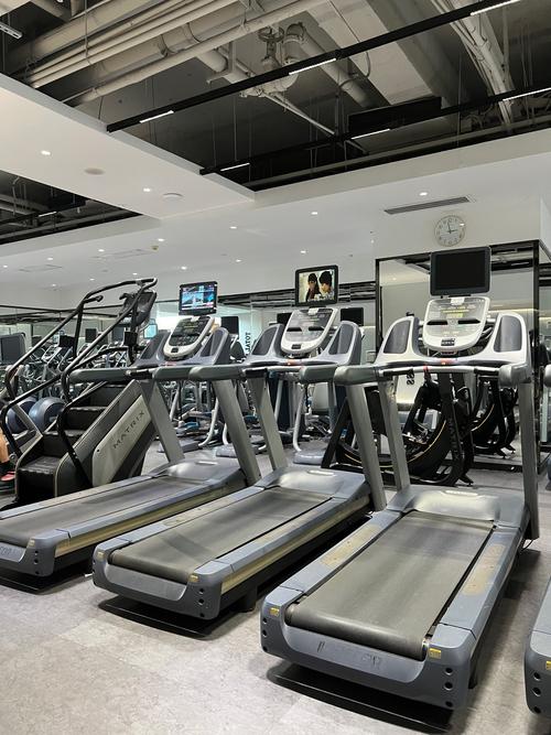 安阳最好的健身俱乐部-第1张图片-德高鼎泰便民中心