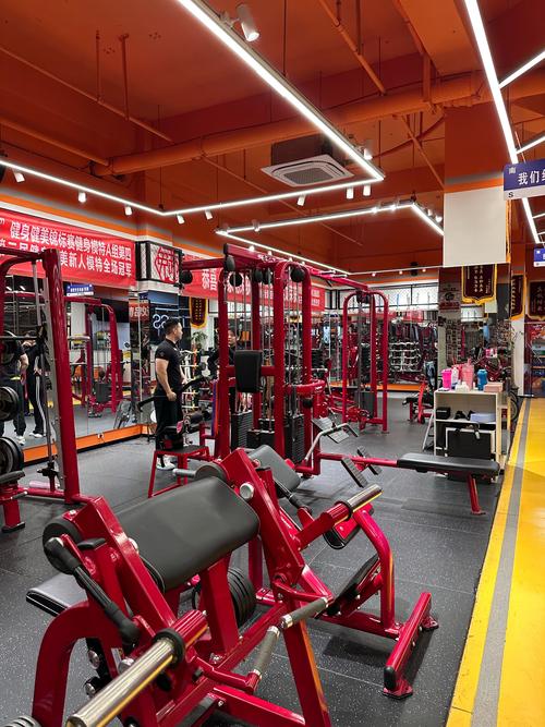 石家庄大马健身俱乐部靠谱吗?-第1张图片-德高鼎泰便民中心 石家庄大马健身俱乐部靠谱吗?-第1张图片-德高鼎泰便民中心