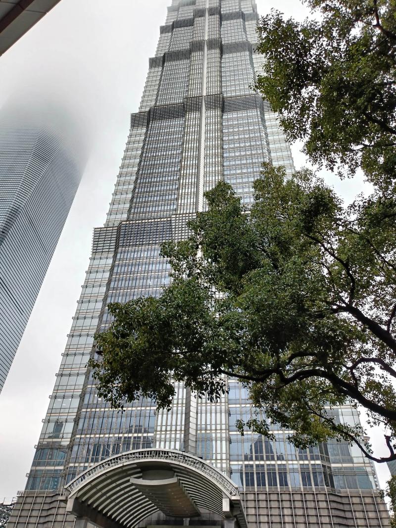 上海金茂大厦物业管理有何独特之处？-第3张图片-德高鼎泰便民中心