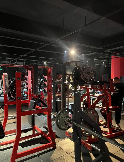 沈阳健身房会员费多少钱一个月?-第1张图片-德高鼎泰便民中心 沈阳健身房会员费多少钱一个月?-第1张图片-德高鼎泰便民中心