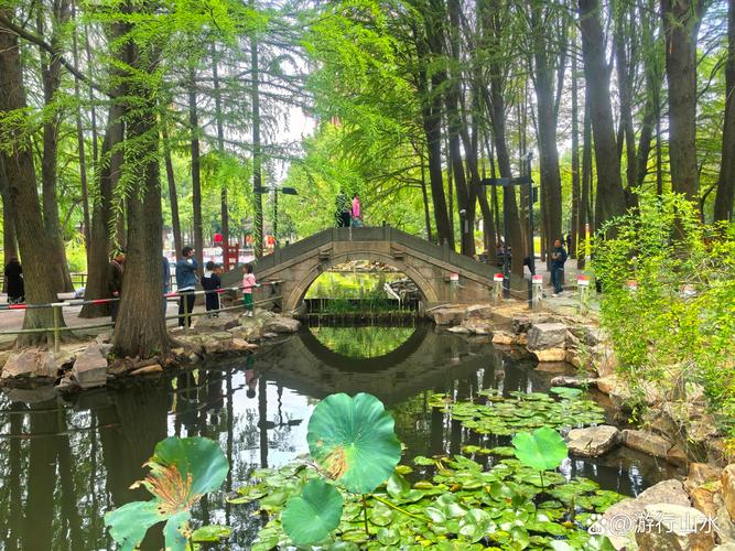 上海川沙公园酒店怎么预订最划算？-第2张图片-德高鼎泰便民中心