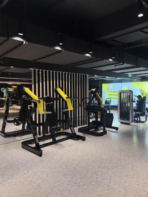 世界之窗附近健身房哪家好?-第3张图片-德高鼎泰便民中心 世界之窗附近健身房哪家好?-第3张图片-德高鼎泰便民中心