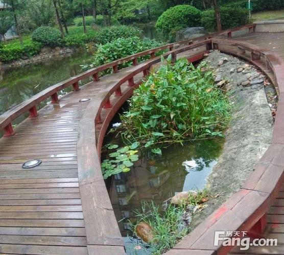 绿地健身游泳馆沿路秀的是什么?-第3张图片-德高鼎泰便民中心 绿地健身游泳馆沿路秀的是什么?-第3张图片-德高鼎泰便民中心