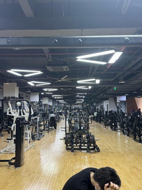 上海大学附近健身房怎么选？-第2张图片-德高鼎泰便民中心