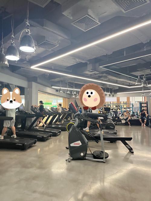 金仕堡健身会所安亭怎么样?-第1张图片-德高鼎泰便民中心 金仕堡健身会所安亭怎么样?-第1张图片-德高鼎泰便民中心