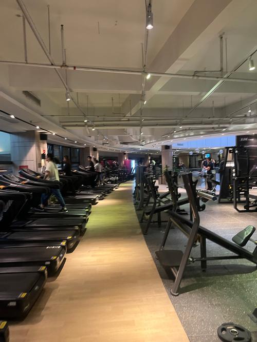 日照大润发附近健身房哪家好?-第2张图片-德高鼎泰便民中心 日照大润发附近健身房哪家好?-第2张图片-德高鼎泰便民中心