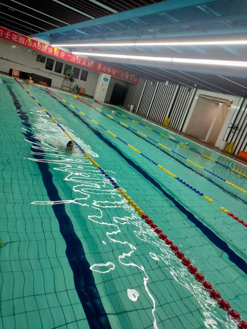 威海泳洋国际游泳健身怎么样？-第1张图片-德高鼎泰便民中心