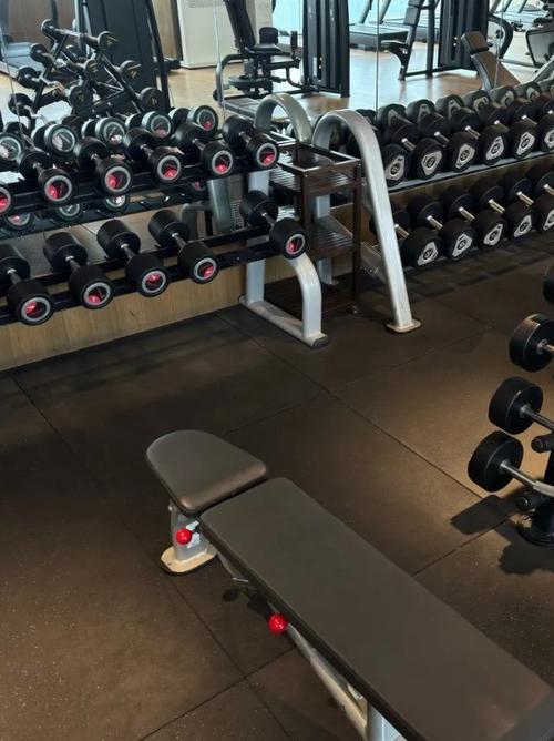 jw万豪健身中心怎么样?设施全吗?-第2张图片-德高鼎泰便民中心 jw万豪健身中心怎么样?设施全吗?-第2张图片-德高鼎泰便民中心