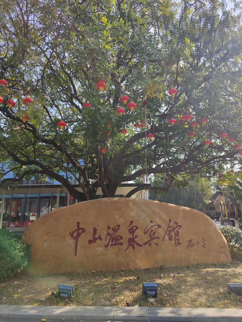 中山温泉公寓酒店怎么预订?-第1张图片-德高鼎泰便民中心 中山温泉公寓酒店怎么预订?-第1张图片-德高鼎泰便民中心