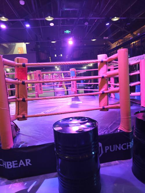 南京全民健身中心拳击怎么学？-第1张图片-德高鼎泰便民中心