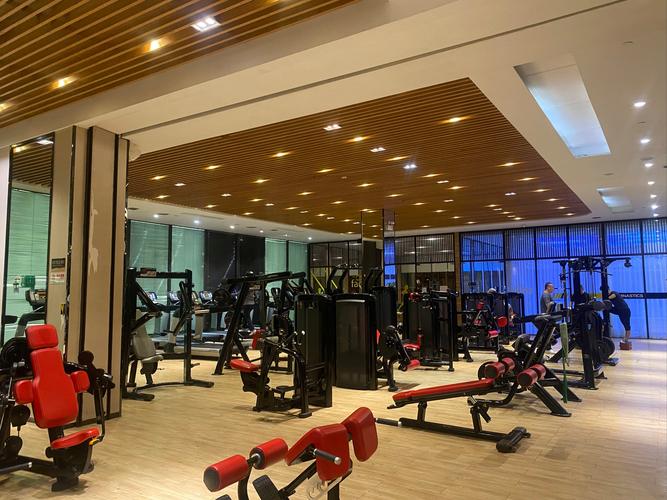 三林体育中心 健身房-第1张图片-德高鼎泰便民中心