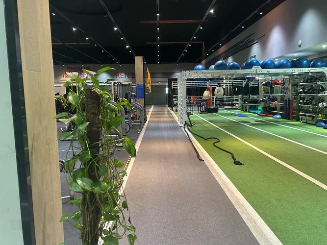 保定松鼠健身青少年宫有何特色课程？-第2张图片-德高鼎泰便民中心