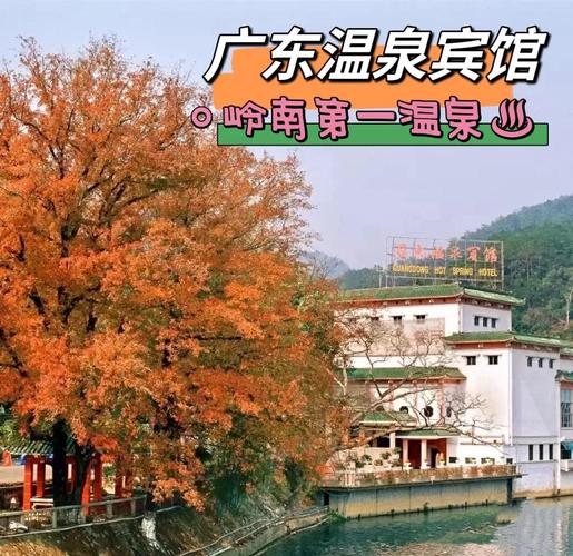 江门金山温泉酒店怎么预订最优惠？-第2张图片-德高鼎泰便民中心