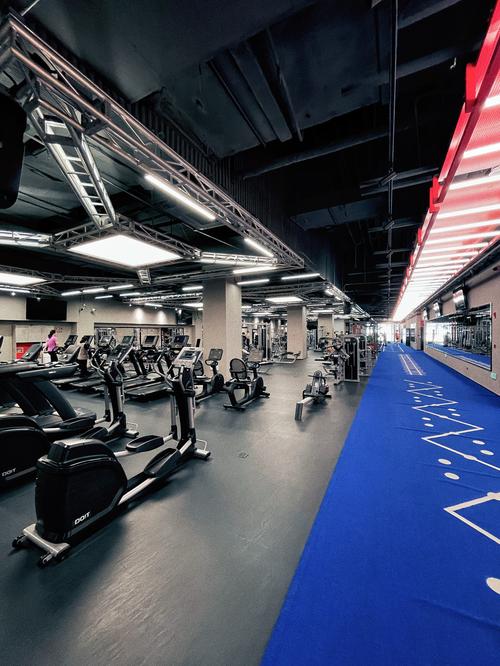 上海300壮士健身房有何特别之处？-第3张图片-德高鼎泰便民中心