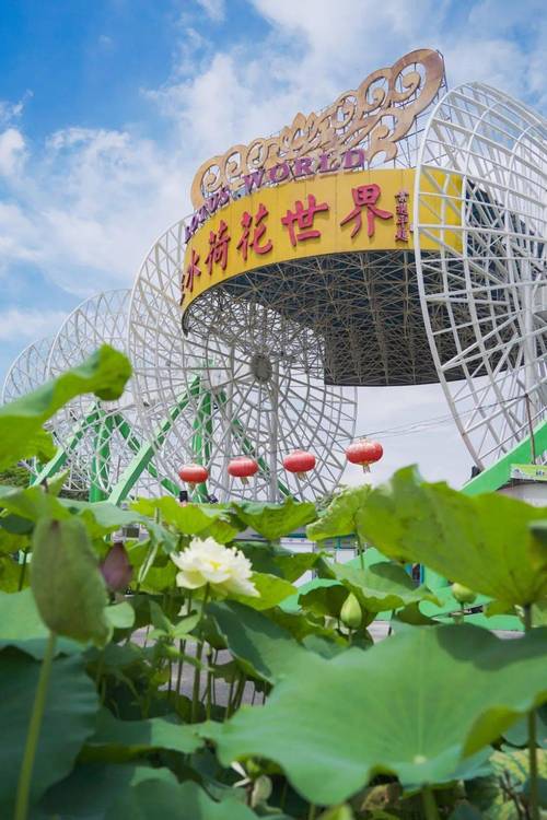 佛山荷花世界酒店怎么预订最优惠？-第3张图片-德高鼎泰便民中心