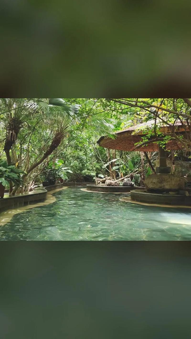 云南莲花温泉酒店怎么预订最划算?-第1张图片-德高鼎泰便民中心 云南莲花温泉酒店怎么预订最划算?-第1张图片-德高鼎泰便民中心