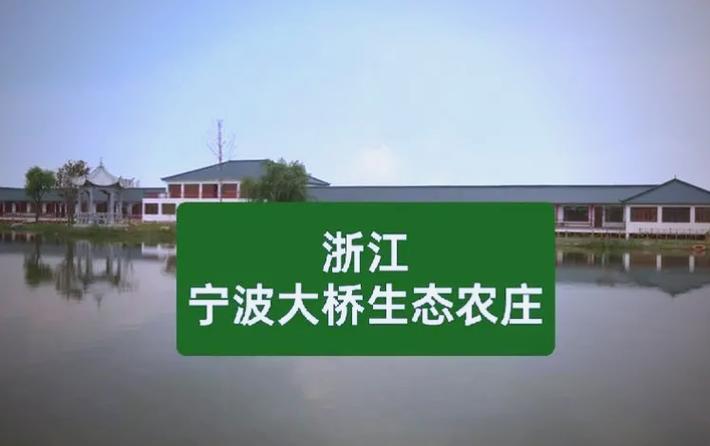 大桥生态农庄酒店怎么预订？-第1张图片-德高鼎泰便民中心
