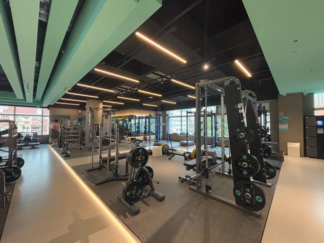 威尔士健身房在上海有何独特之处？-第1张图片-德高鼎泰便民中心