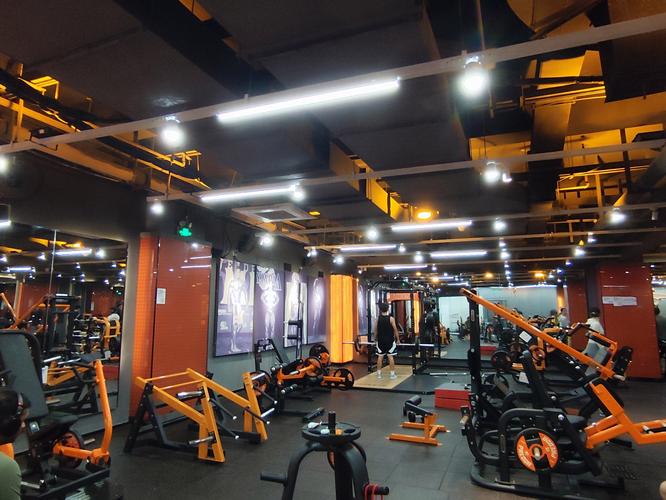 合肥中环城附近健身房哪家好？-第1张图片-德高鼎泰便民中心
