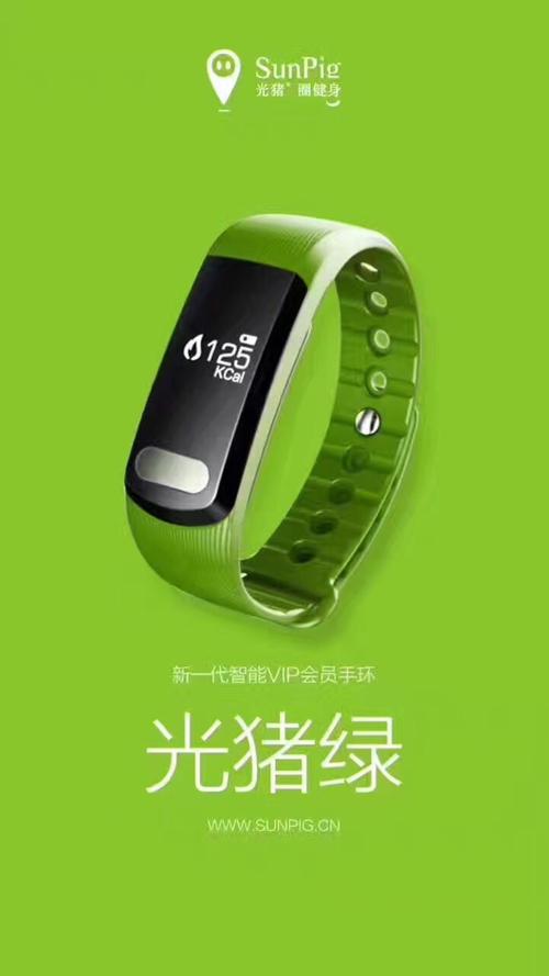 光猪圈健身手环怎么用?-第1张图片-德高鼎泰便民中心 光猪圈健身手环怎么用?-第1张图片-德高鼎泰便民中心
