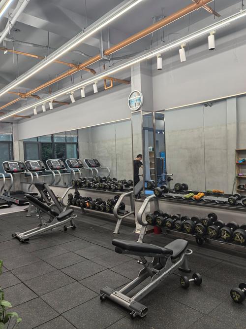 东营东城健身房有哪些值得选？-第1张图片-德高鼎泰便民中心