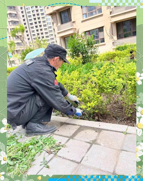 物业小区绿化养护标准具体有哪些？-第1张图片-德高鼎泰便民中心
