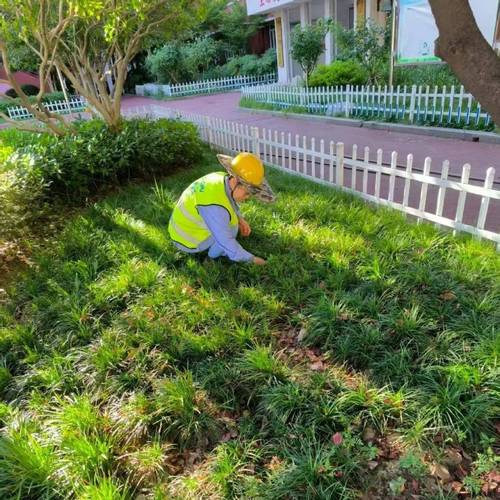 物业小区绿化养护标准具体有哪些？-第2张图片-德高鼎泰便民中心