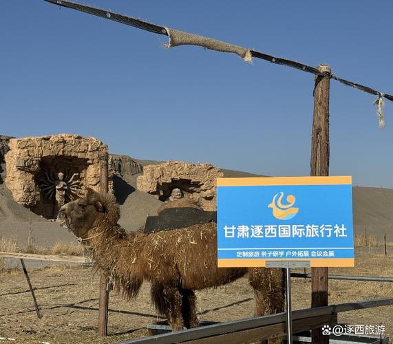 甘肃旅游酒店旅舍怎么选最划算？-第3张图片-德高鼎泰便民中心