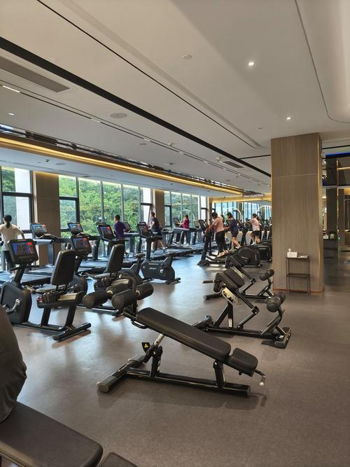 乐山健身房哪家比较好-第1张图片-德高鼎泰便民中心